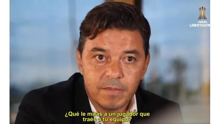 Las dos cosas que Gallardo busca en un jugador para llevarlo a River
