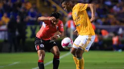 Lobos BUAP vs Tigres UANL (Foto: Jam Media)