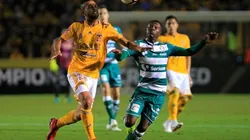 Santos Laguna vs Tigres UANL (Foto: Jam Media)