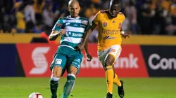 Santos Laguna vs Tigres UANL (Foto: Jam Media)