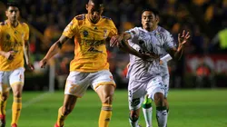 Tigres UANL vs Santos Laguna (Foto: Jam Media)