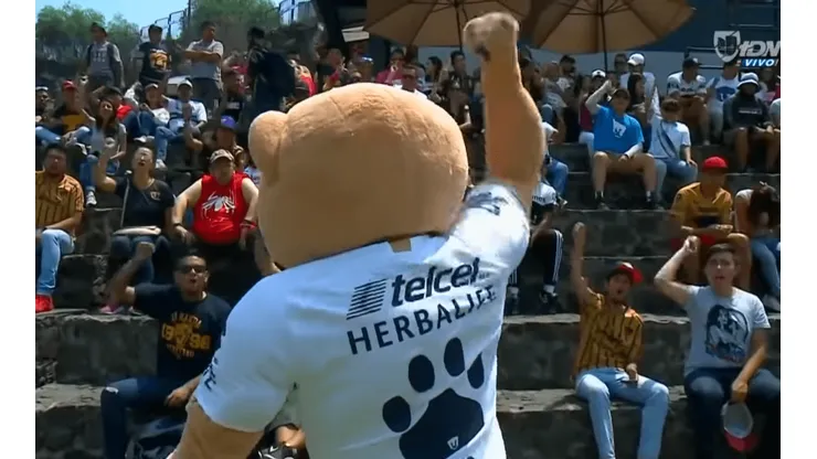 Gran gesto: Los jugadores de Pumas fueron a alentar al femenil en el Clásico Capitalino