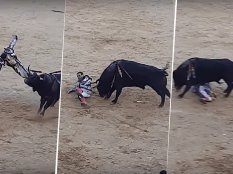 Video viral: toro a punto de morir se venga del hombre que lo intentó matar