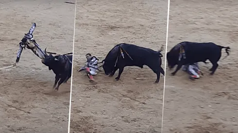 Foto del toro en pleno momento acción.