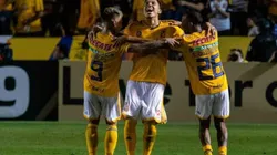 El nuevo festejo viral que será una marca registrada de todo Tigres