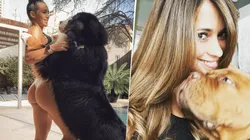 Antonella Roccuzzo no está sóla: la novia de Ocampos también tiene un perro como la familia Messi