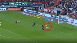 Pésima acción de Castillo.