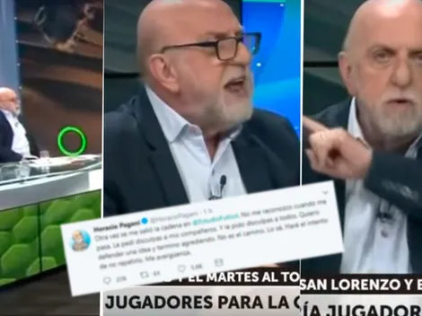 A Pagani se le soltó tanto la cadena que tuvo que pedir disculpas en Twitter