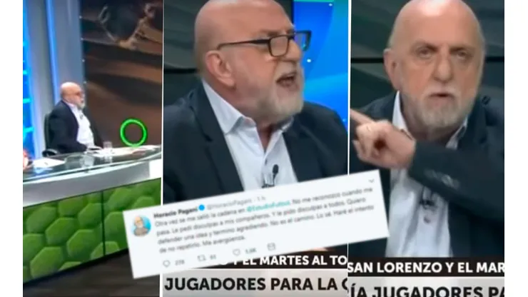A Pagani se le soltó tanto la cadena que tuvo que pedir disculpas en Twitter