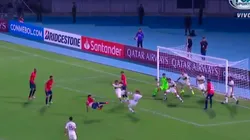 Magnífica tapada de Andrada.