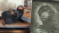 Harry Potter: Wizards Unite muestra un nuevo adelanto con participación del Escarbato