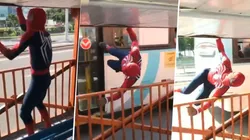 Video viral: Spiderman rompe todo y camina sobre un bus