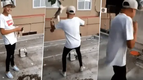 Para compartir de forma repudiable: un joven maltrató a un gato y lo hizo volar por el aire