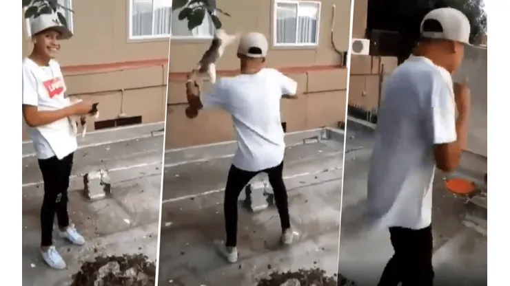 Para compartir de forma repudiable: un joven maltrató a un gato y lo hizo volar por el aire