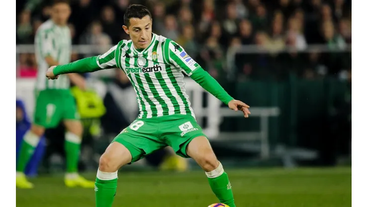 Guardado no irá nunca al América.