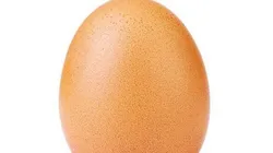 River agarró al huevo con más likes en la historia de Instagram y lo convirtió en campeón de la Libertadores