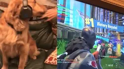 Video viral: Crosby, el perro que juega Fortnite y gana una partida
