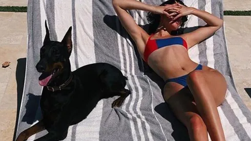 FBMD23000988030000c9260000df300000453c00006d97000027c90000ddf900007a3001006a63010066bc0100