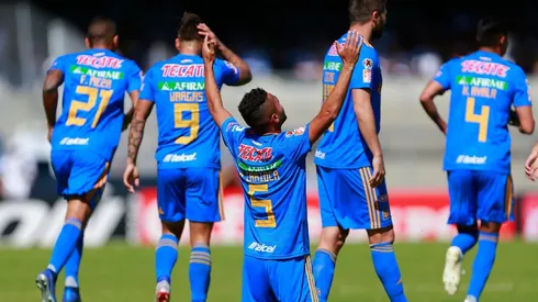 Tigres suma un nuevo refuerzo para la próxima temporada.