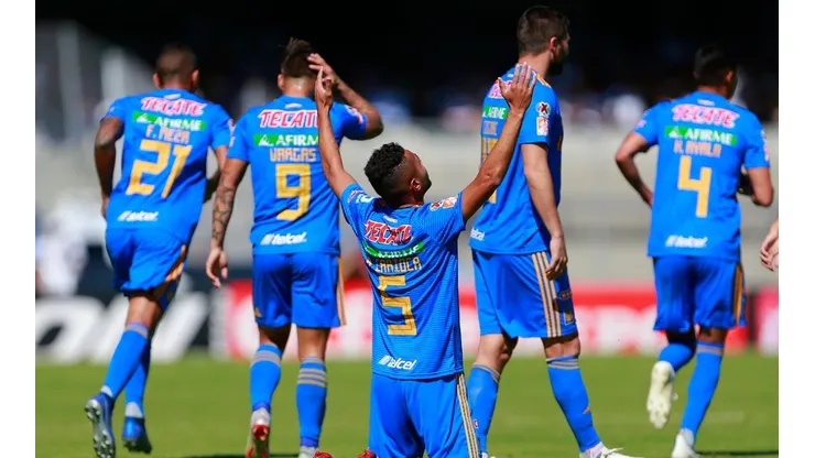 Tigres suma un nuevo refuerzo para la próxima temporada.