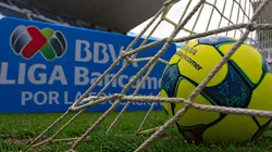 Fox Sports: Se acerca el fin de la superpoblación de extranjeros en la Liga MX