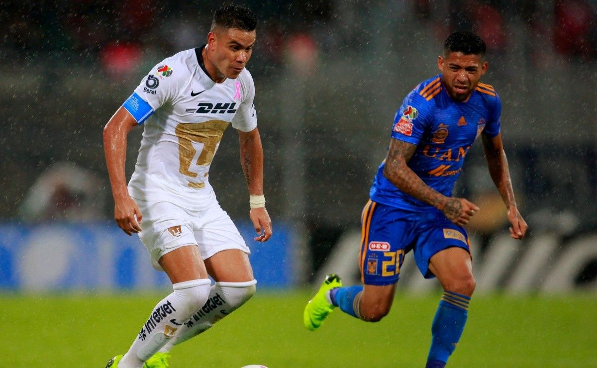 Ver en VIVO Tigres UANL vs. Pumas UNAM por la Liga MX - Bolavip