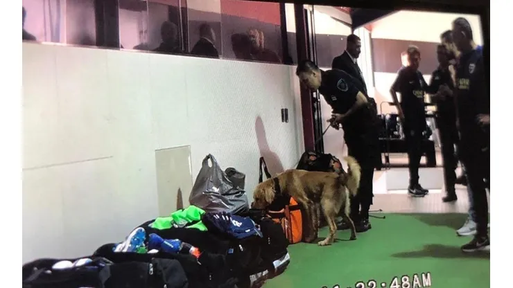 Los perros revisaron el vestuario de Boca.