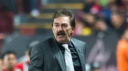 Con dolor, La Volpe explicó por qué duró tan poco en Egipto