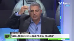 Más hincha de River que nunca: nadie defendió tanto a Gallardo como Farinella hoy