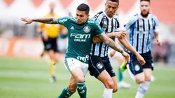 Palmeiras sumó tres puntos vitales.