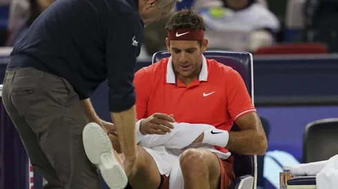 Del Potro luego de la lesión.