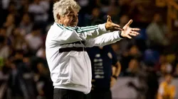 El ´desconocido´ que quiere debutar en la Selección con Ferretti de Técnico