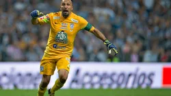 El reemplazante del Conejo Pérez puede llegar desde un destino insólito