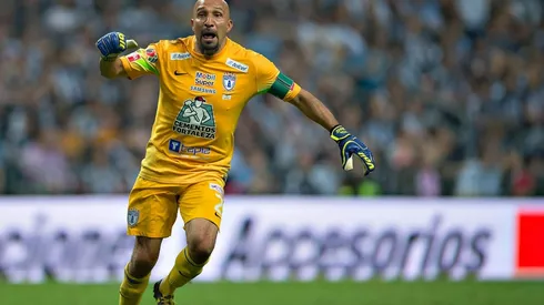 El reemplazante del Conejo Pérez puede llegar desde un destino insólito