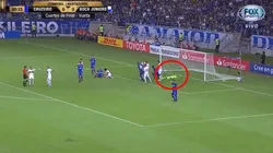 Foto de Rossi tirado en el césped.