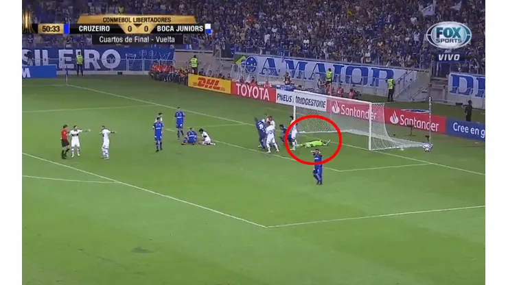 Foto de Rossi tirado en el césped.
