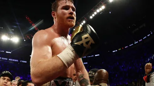 Canelo, nominado en tres premios.