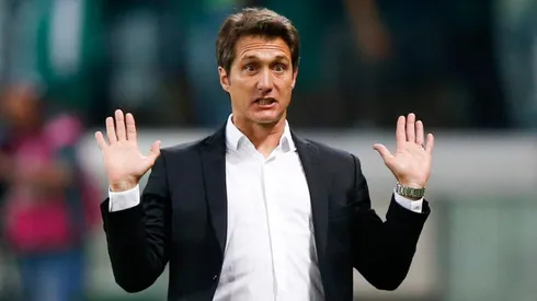 Se volvió loco: Guillermo sorprende a todos y sacará a un habitual titular para enfrentar a Cruzeiro