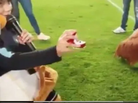 ¡Sí, acepto! Una mujer le pidió matrimonio a su pareja en el entretiempo de Pachuca- Tigres