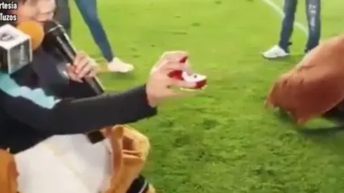 Una mujer le propuso casamiento a un hombre en el entretiempo de Pachuca vs Tigres.