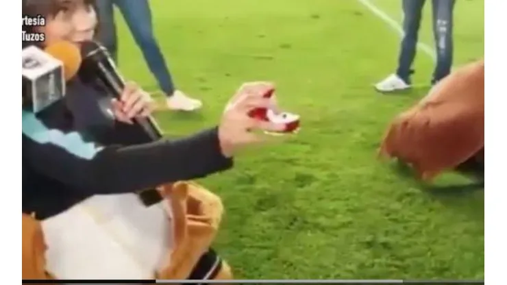 Una mujer le propuso casamiento a un hombre en el entretiempo de Pachuca vs Tigres.