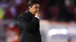 Marcelo Gallardo no sabe si exigir a Nacho Fernández