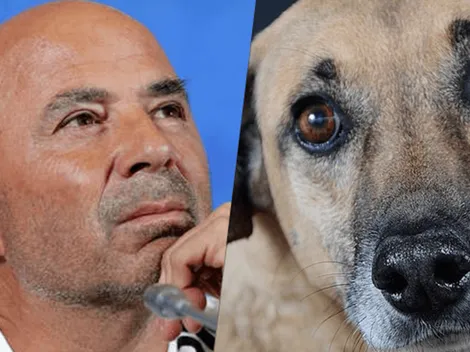 Cada vez peor: ahora Sampaoli va a buscar jugadores a las veterinarias