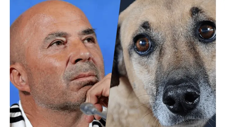 ¡PICHICHO! Sampaoli pidió a un volante mixto...en la veterinaria.