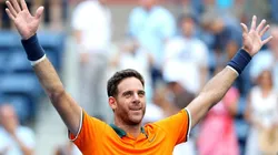Del Potro, la solución de Guillermo