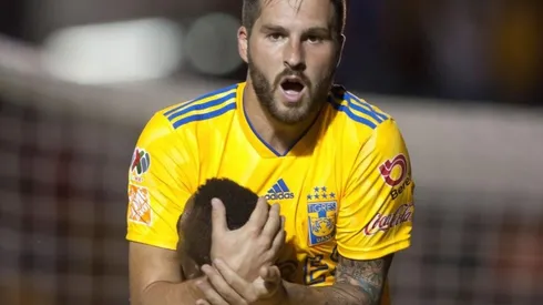 En VIVO: Necaxa vs Tigres por la Liga MX