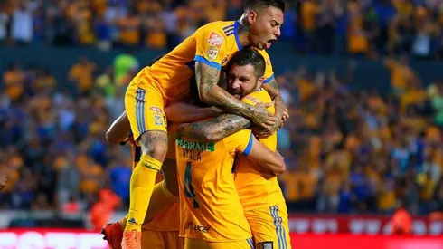 Los "Felinos" cambiarán su piel en busca de volver a ser campeones