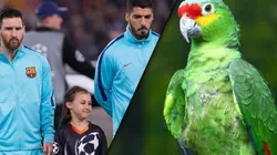 A Barcelona lo visten de loro