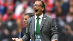 Pizzi está en el Mundial, Chile no y los comentarios no tardaron en aparecer