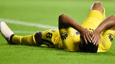 Fabra no irá al Mundial